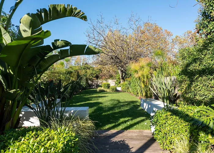 Cosy Flat In With Private Patio & Garden Area By Lisbeyond Διαμέρισμα Πόρτο